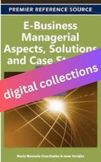 Image of E-Business Managerial Aspects, Solutions and Case Studies