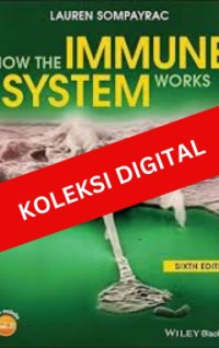 Image of How the Immune System Works