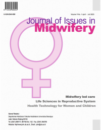Image of Journal of Issues in Midwifery